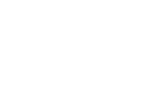 Holistic Stylist